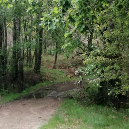 Mirador De Luintra Nogueira De Ramuin