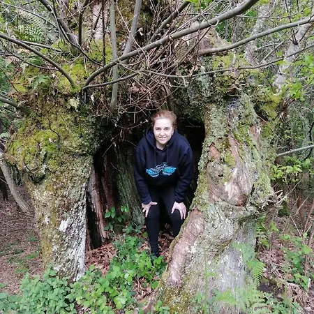 Appartamento Mirador De Luintra