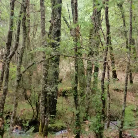 Appartamento Mirador De Luintra