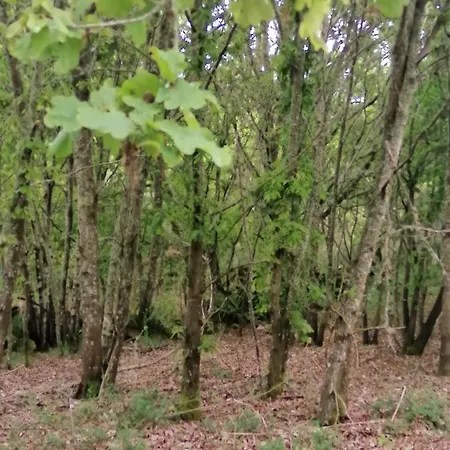 Mirador De Luintra Appartamento Nogueira De Ramuin